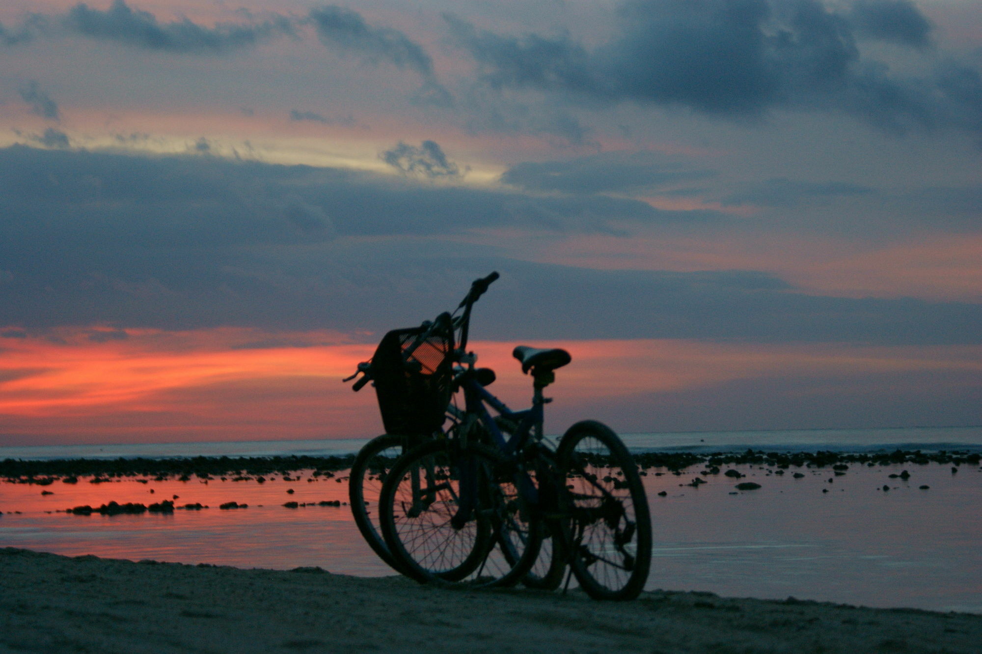 Coconut Garden Resort Quần đảo Gili Ngoại thất bức ảnh