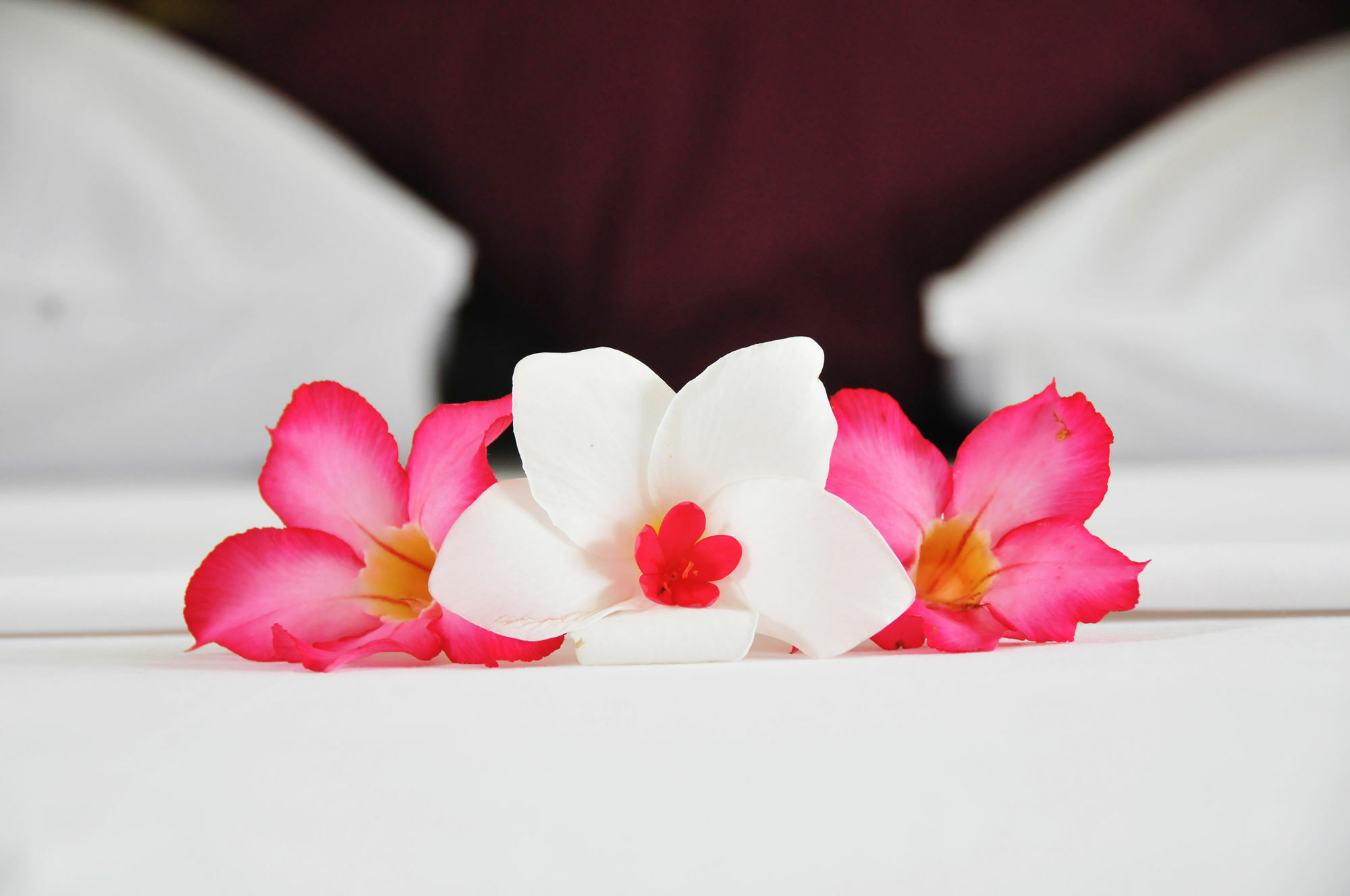 Coconut Garden Resort Quần đảo Gili Ngoại thất bức ảnh